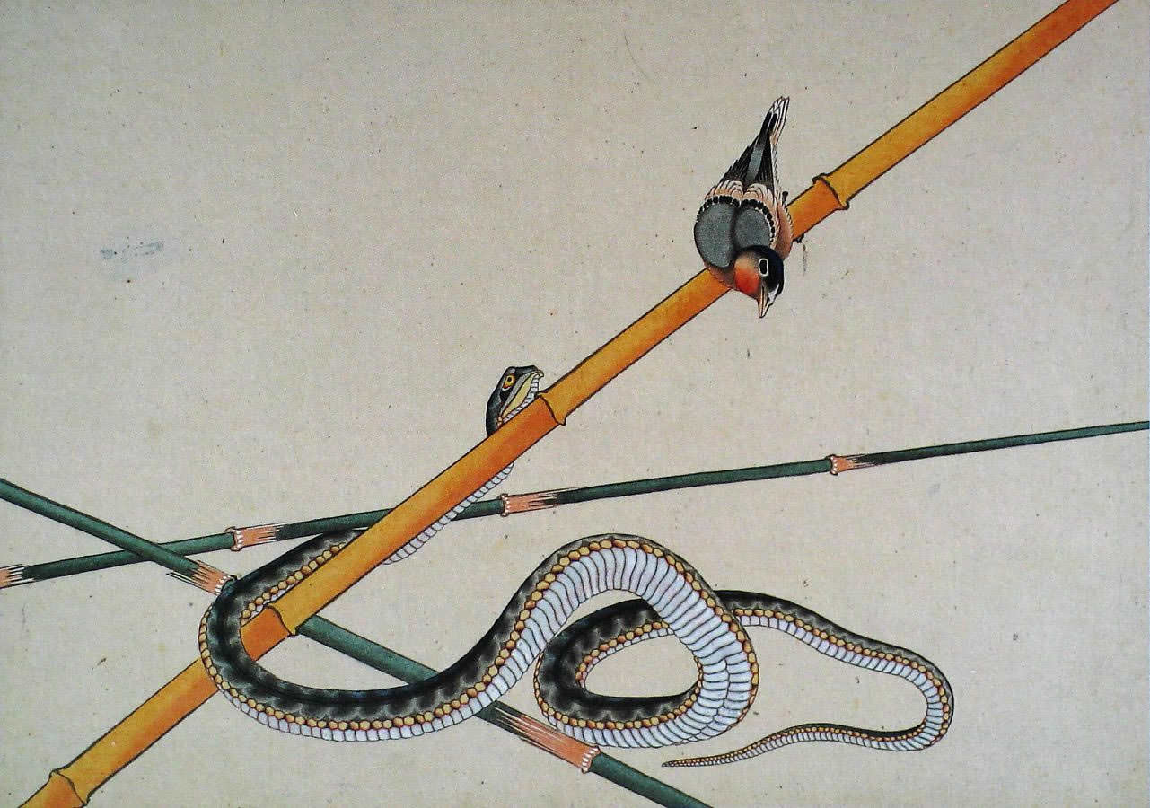 蛇と小鳥（葛飾北斎の画）の拡大画像
