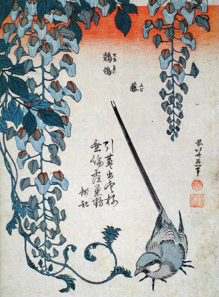 中版花鳥図　鶺鴒と藤（葛飾北斎の画）の拡大画像