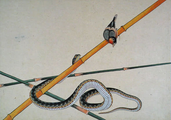 『『肉筆画帖』「蛇と小鳥」（葛飾北斎 画/1835〜44年頃）