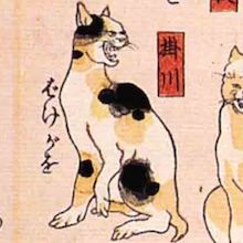 掛川 猫飼好五十三疋（歌川国芳の画）