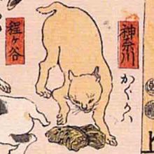 神奈川 猫飼好五十三疋（歌川国芳の画）