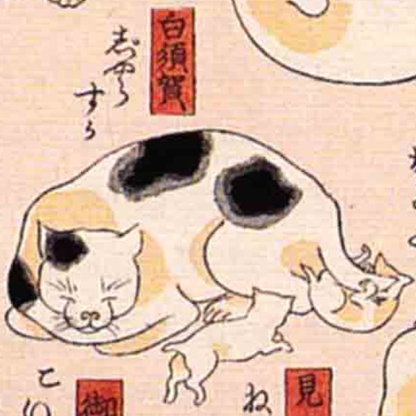 白須賀／其のまま地口 猫飼好五十三疋（歌川国芳 画）の拡大画像